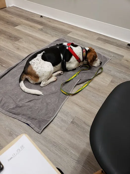 Veterinary Specialists Of Hanover Picture 10