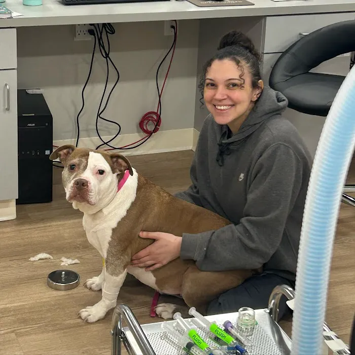 Veterinary Specialists Of Hanover Picture 2