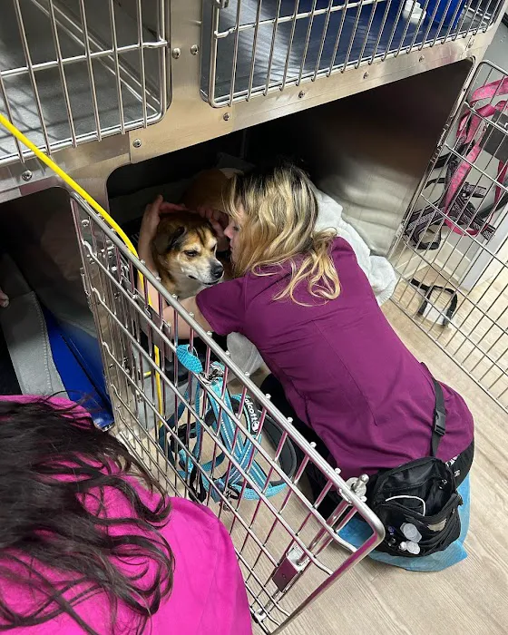 Veterinary Specialists Of Hanover Picture 5