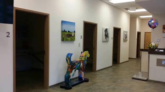 John Rolfe Animal Hospital Picture 2