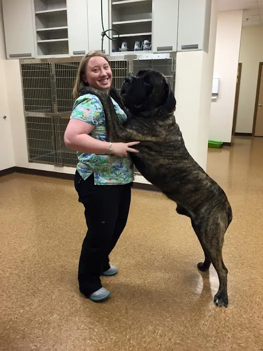 John Rolfe Animal Hospital Picture 8