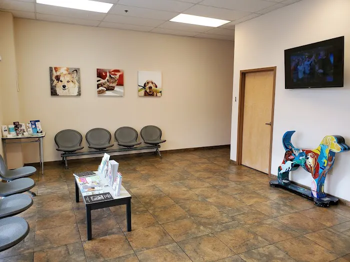 John Rolfe Animal Hospital Picture 3