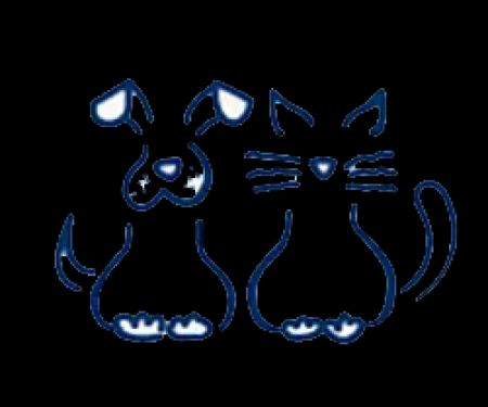 Companion Animal House Calls