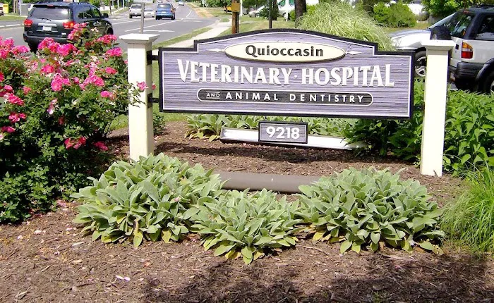 Quioccasin Veterinary Hospital Picture 2