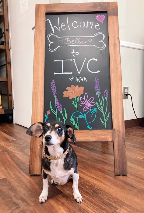 Integrative Veterinary Center of Richmond Picture 3
