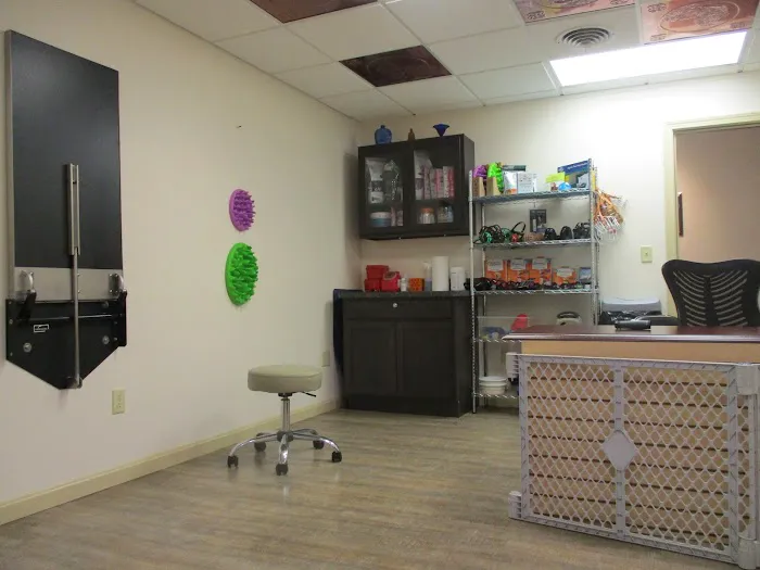 The Behavior Clinic; Animal Behavior of Northeast Ohio, LLC Picture 6