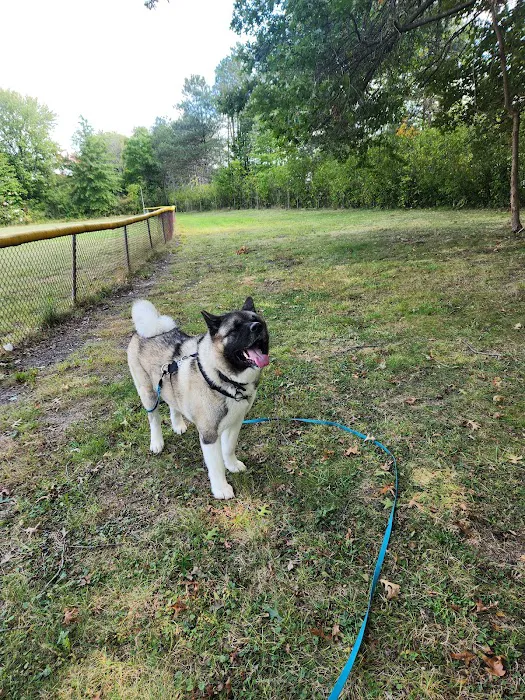 The Behavior Clinic; Animal Behavior of Northeast Ohio, LLC Picture 3