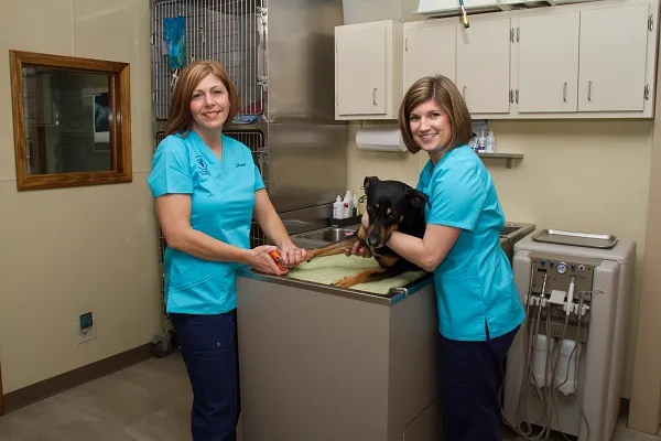 Sandstone Animal Hospital Picture 4