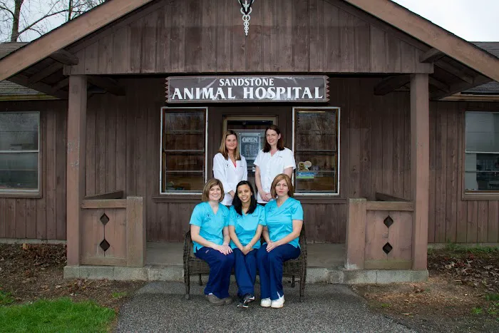 Sandstone Animal Hospital Picture 10