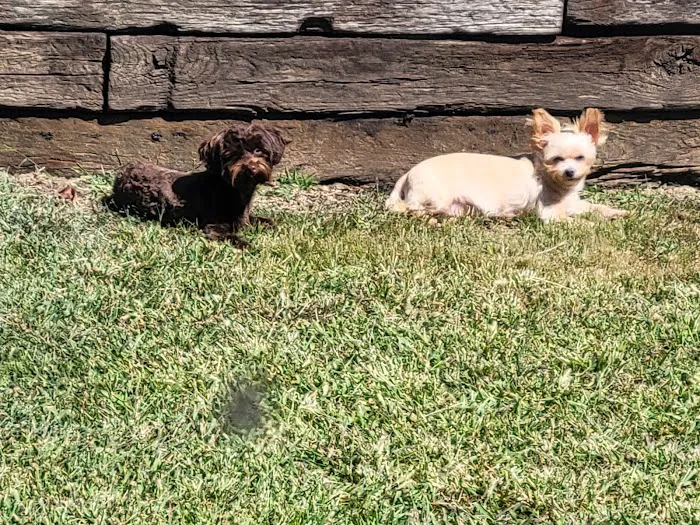 Waverly Veterinary Hospital Inc. Picture 6