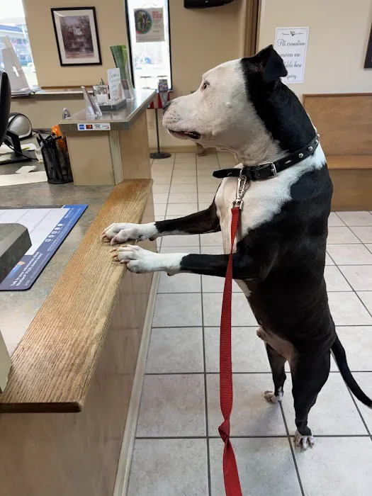 Waverly Veterinary Hospital Inc. Picture 10