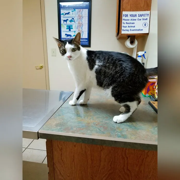 Waverly Veterinary Hospital Inc. Picture 8