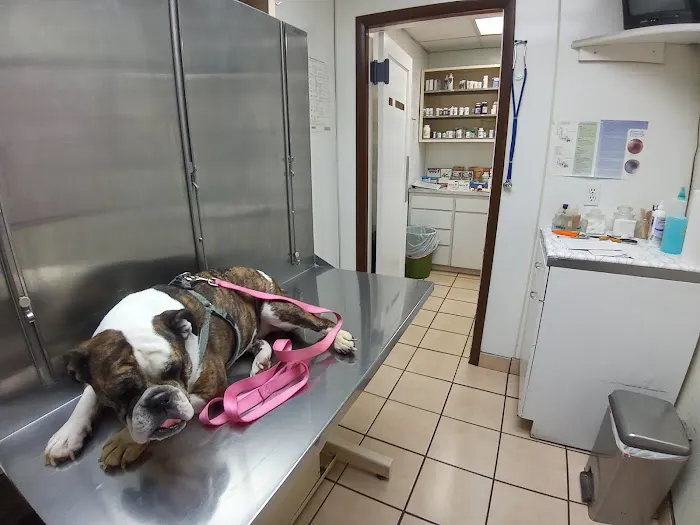 North Olmsted Animal Hospital Picture 4