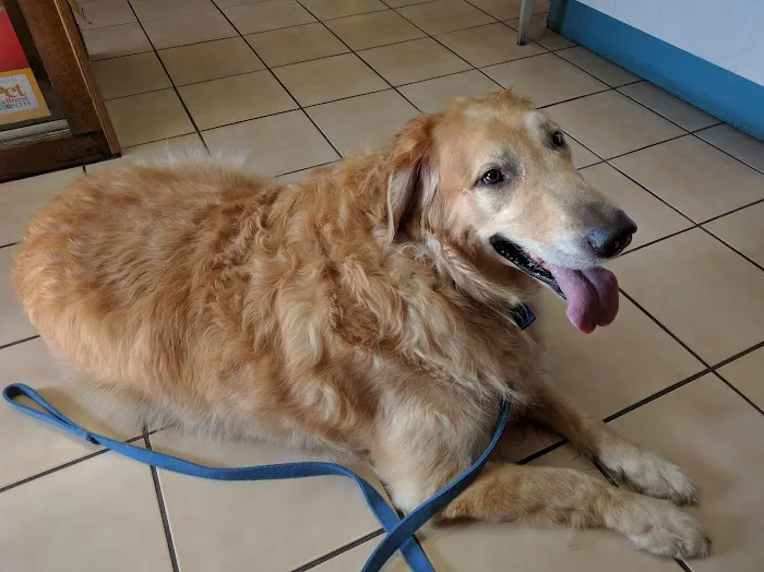 North Olmsted Animal Hospital Picture 2