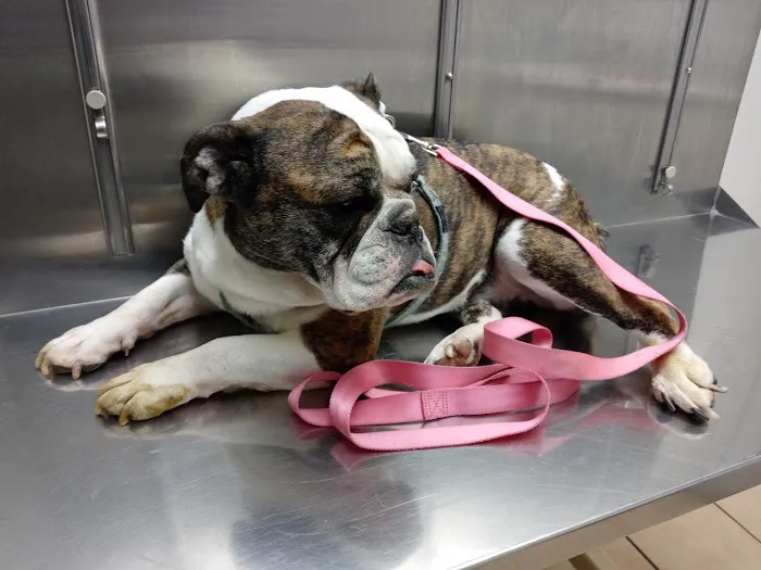 North Olmsted Animal Hospital Picture 7