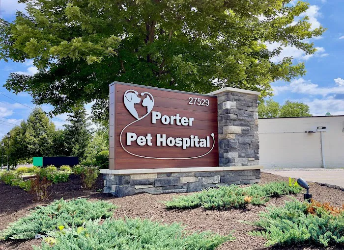 Porter Pet Hospital Picture 7