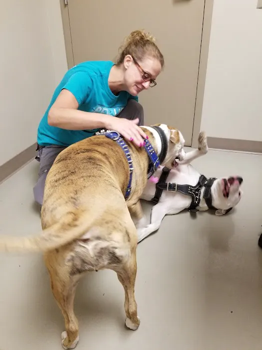 Porter Pet Hospital Picture 8