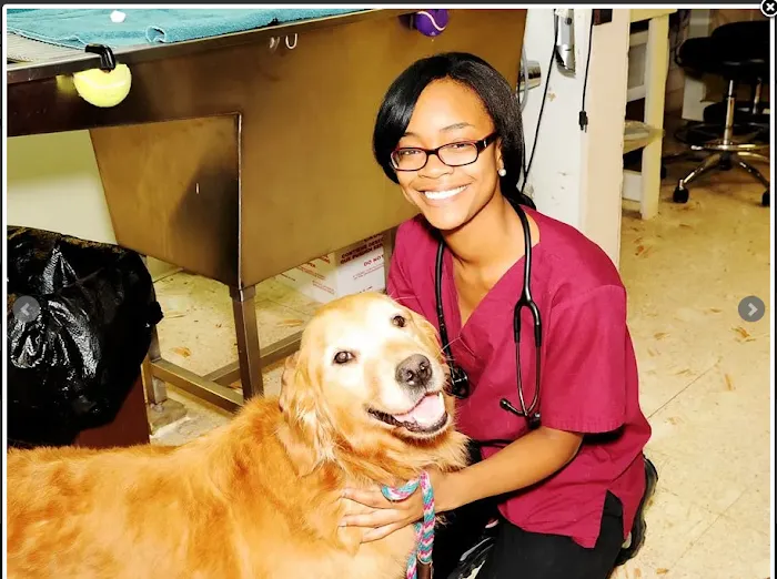 Hillview Veterinary Clinic / Bed & Biscuit Picture 10