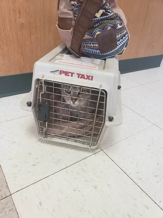 Village Veterinary Care Picture 3