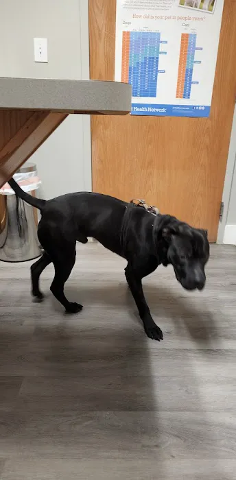 Village Veterinary Care Picture 10