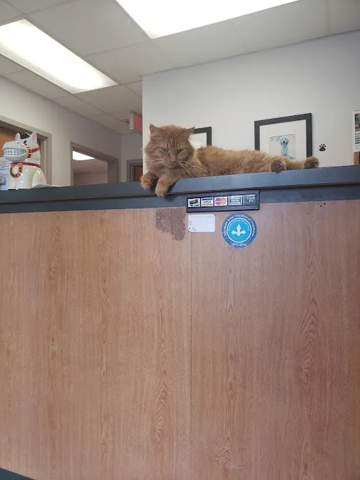 Village Veterinary Care Picture 4