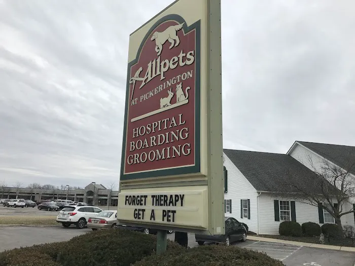 Allpets at Pickerington Picture 5