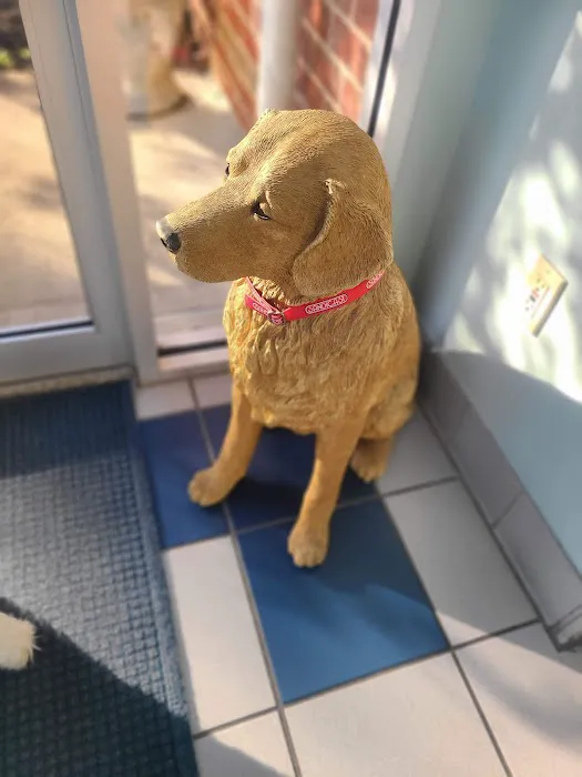 Cross Creeks Animal Hospital Picture 7