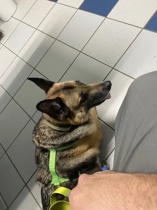 Cross Creeks Animal Hospital Picture 10