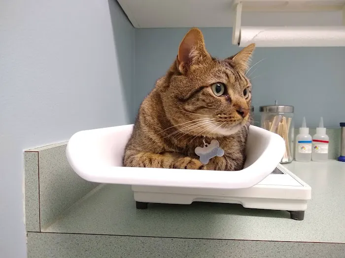 Cross Creeks Animal Hospital Picture 8