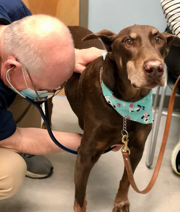 Compassionate Care Animal Hospital Picture 8