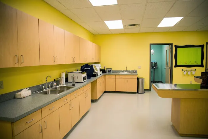 Compassionate Care Animal Hospital Picture 3