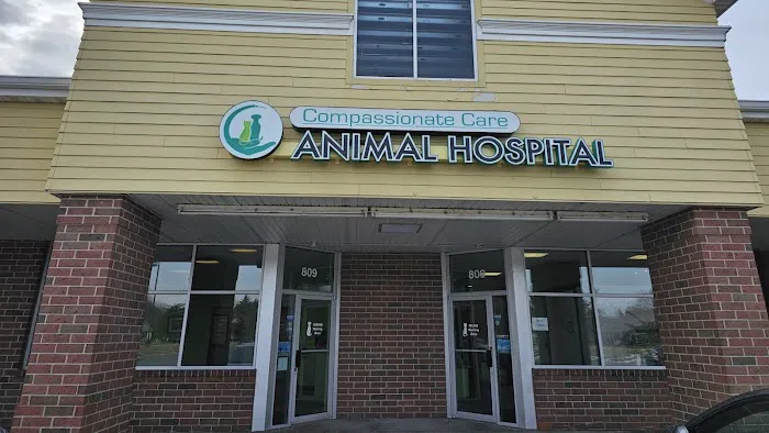 Compassionate Care Animal Hospital Picture 10