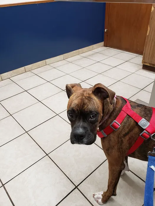 Reynoldsburg Animal Hospital Picture 5
