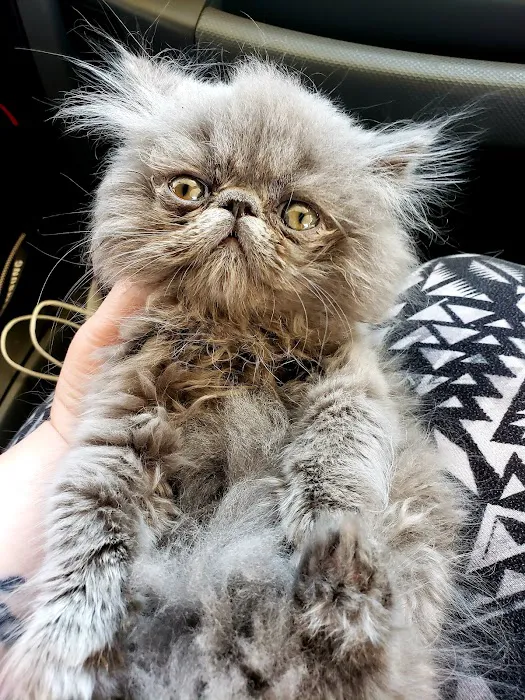 Alexandria Animal Clinic Picture 5