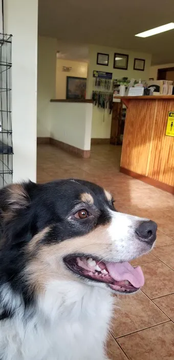 Alexandria Animal Clinic Picture 1