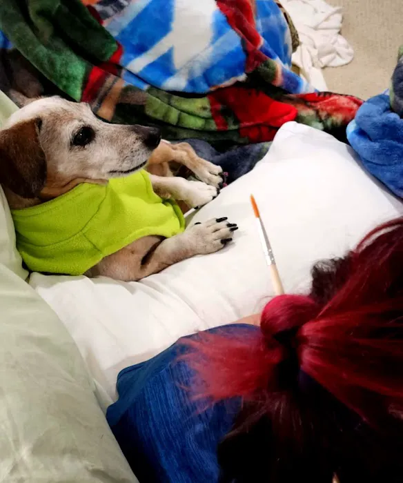 Whole Pet Wellness Center Picture 4