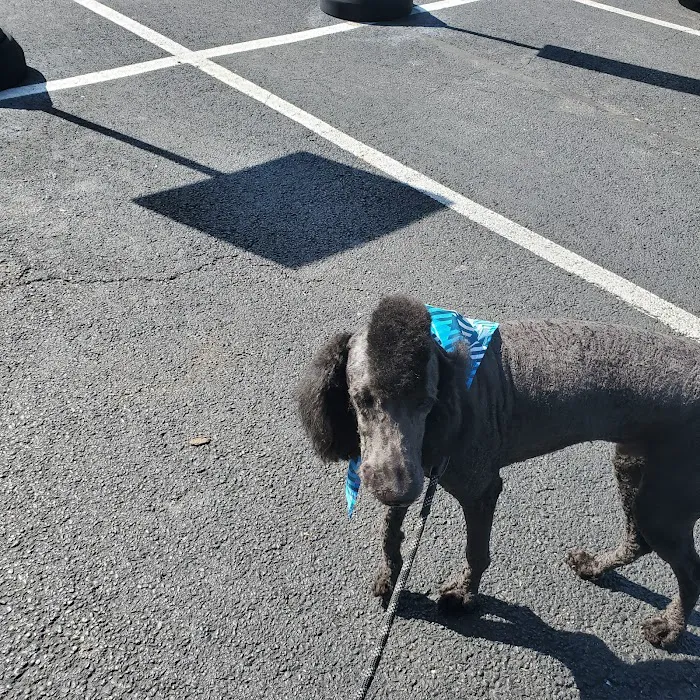 Indian Creek Veterinary Hospital Picture 1