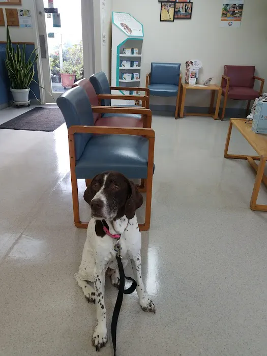 Indian Creek Veterinary Hospital Picture 5