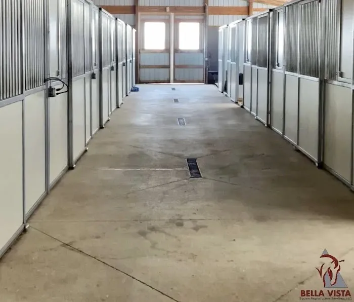 Bella Vista Equine Reproductive Services LLC Picture 7