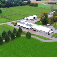 Bella Vista Equine Reproductive Services LLC ico
