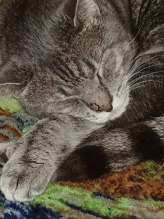 Utica Animal Care Center Picture 9