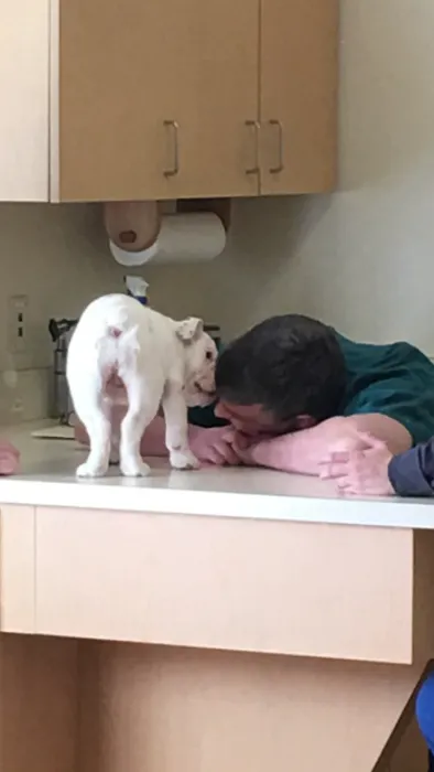 Utica Animal Care Center Picture 5