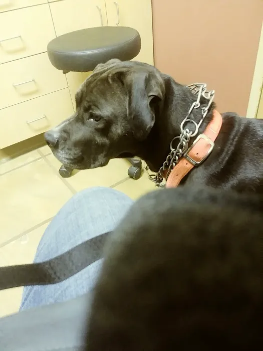 Utica Animal Care Center Picture 2