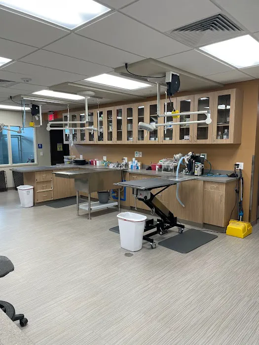 Winchester Veterinary Clinic Picture 8