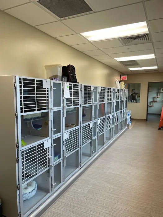 Winchester Veterinary Clinic Picture 10