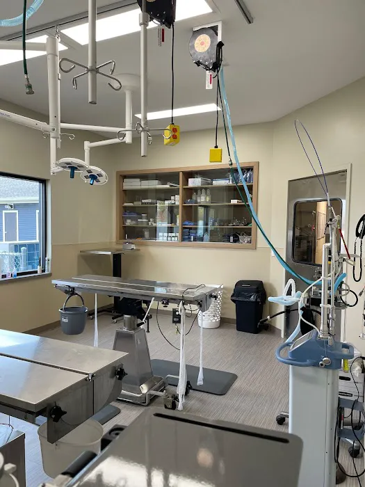 Winchester Veterinary Clinic Picture 7
