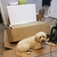 Canal Animal Clinic ico