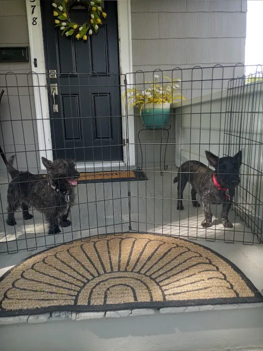 Canal Animal Clinic Picture 5