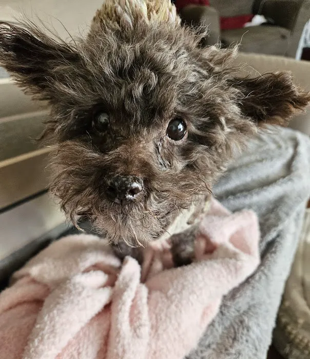 Canal Animal Clinic Picture 9