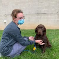 Groveport Canal Animal Hospital ico